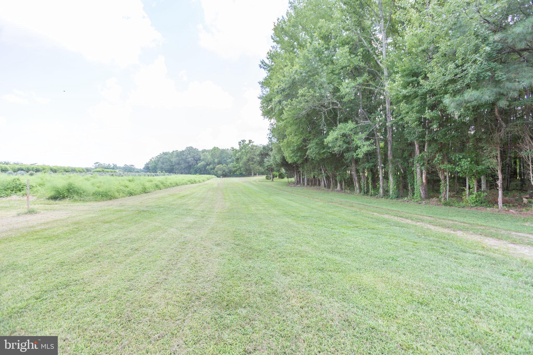 18136 Pepmeier Hill Road Fredericksburg, VA 22408 - Photo 68 of 80 a view of a field with trees in the background