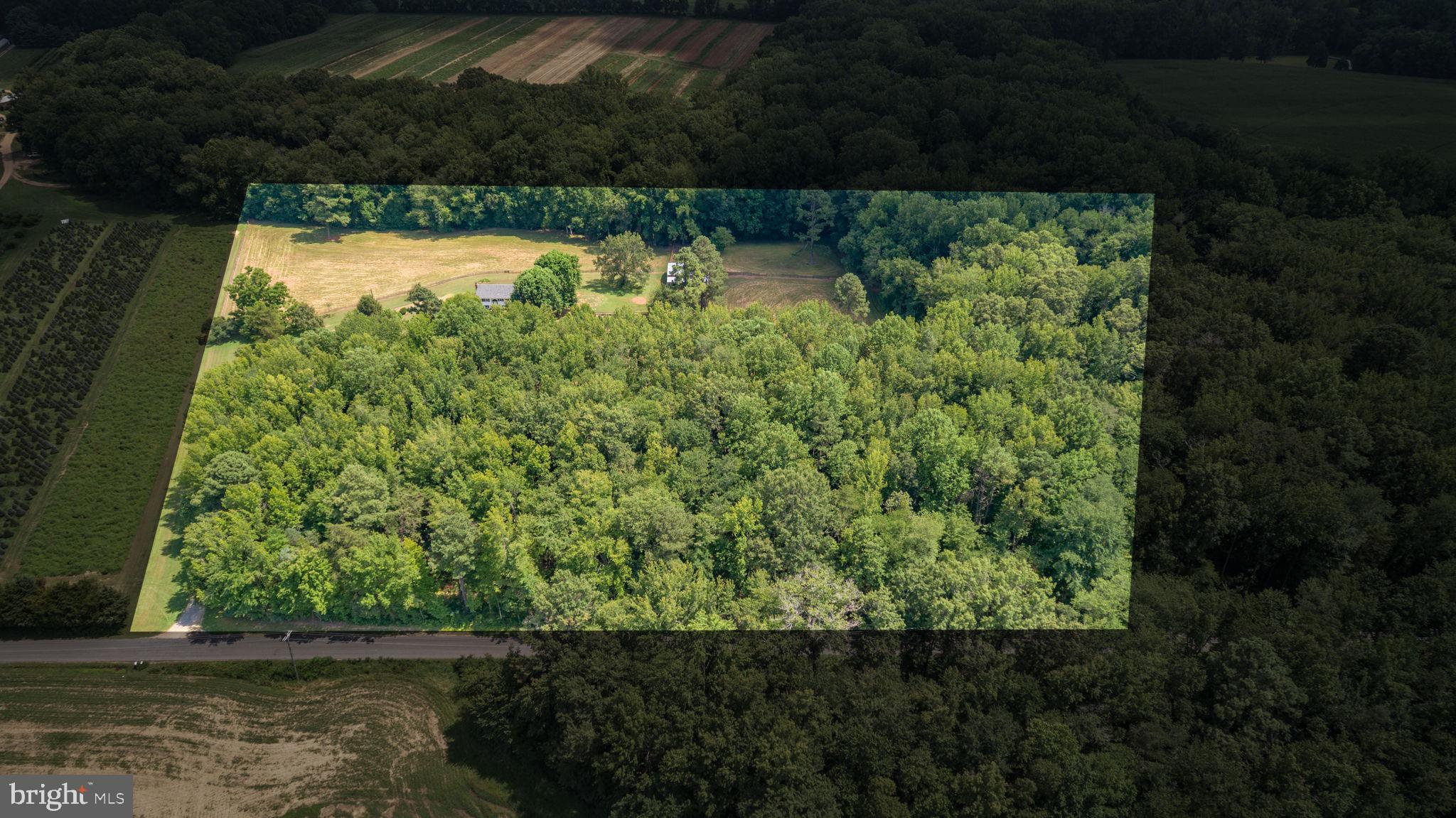 18136 Pepmeier Hill Road Fredericksburg, VA 22408 - Photo 10 of 80