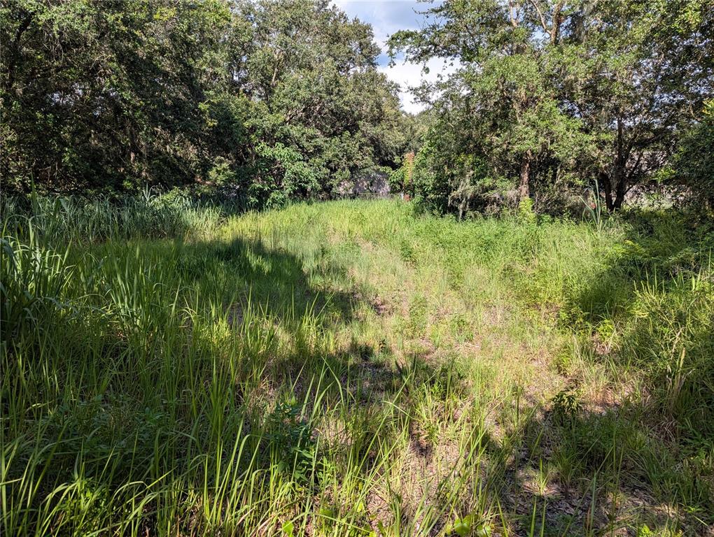 6631 Merle Street Mulberry, FL 33860 - Photo 2 of 3