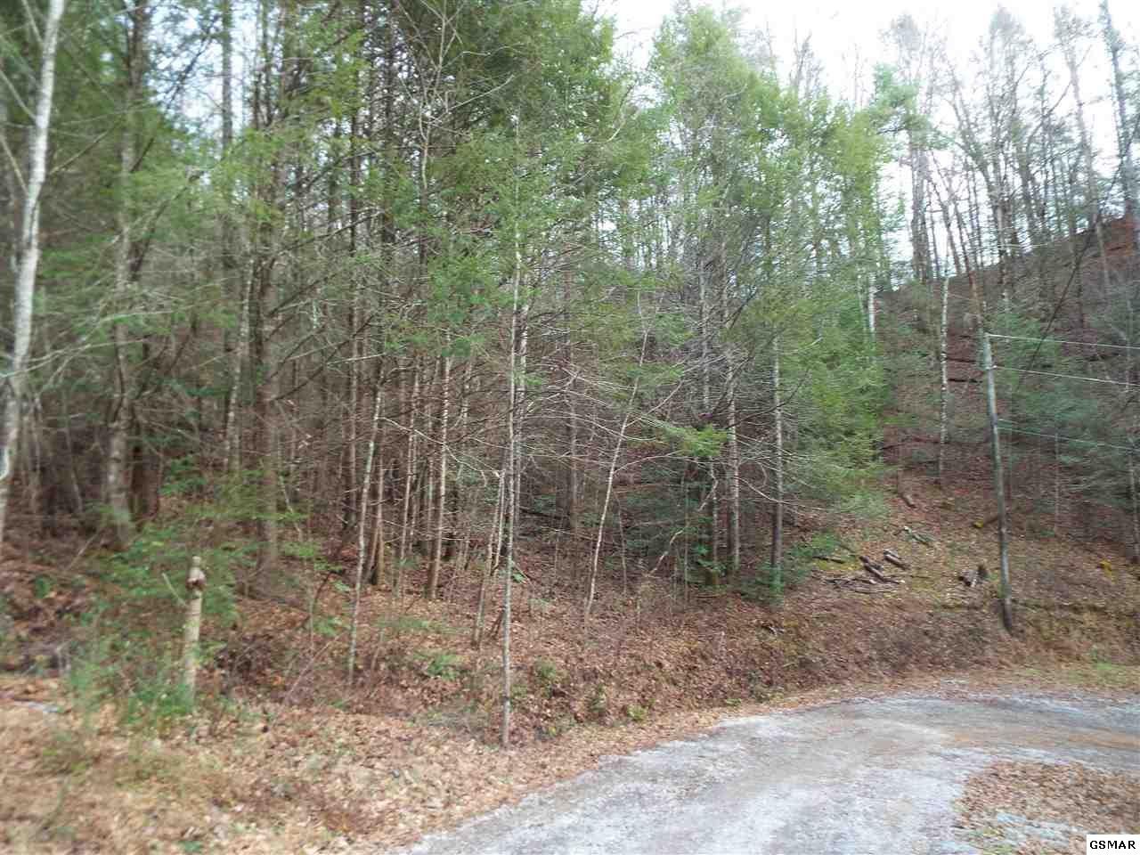 234 Yellow Breeches Road Cosby, TN 37722 - Photo 16 of 16 Gallery Image 16