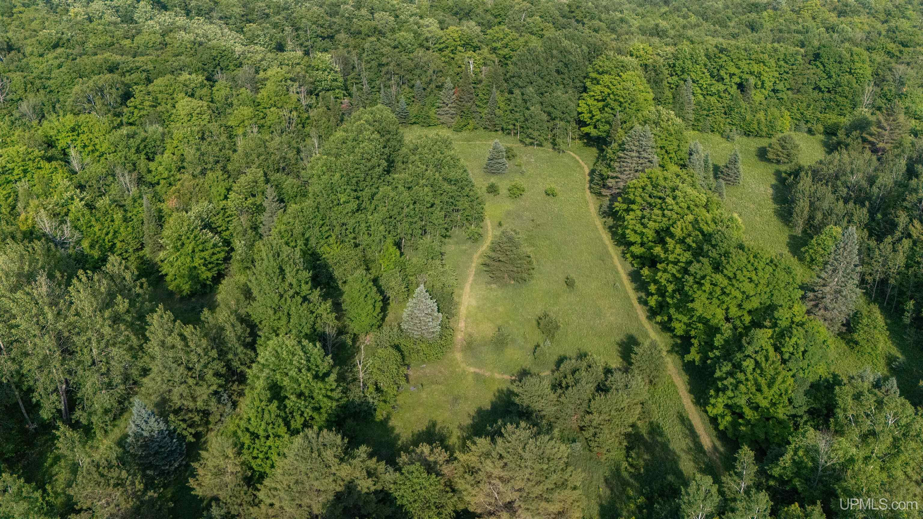 2694 N River Road Gulliver, MI 49840 - Photo 51 of 59