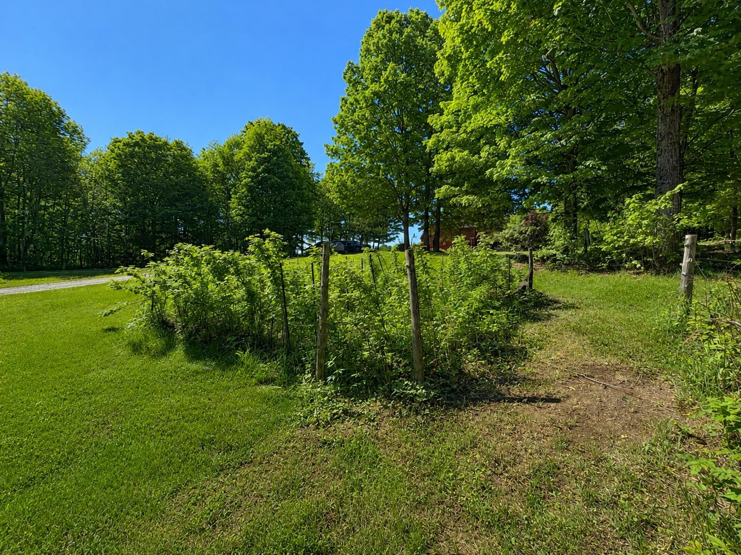 785 Leroux Road Wheelock, VT 05851 - Photo 52 of 57
