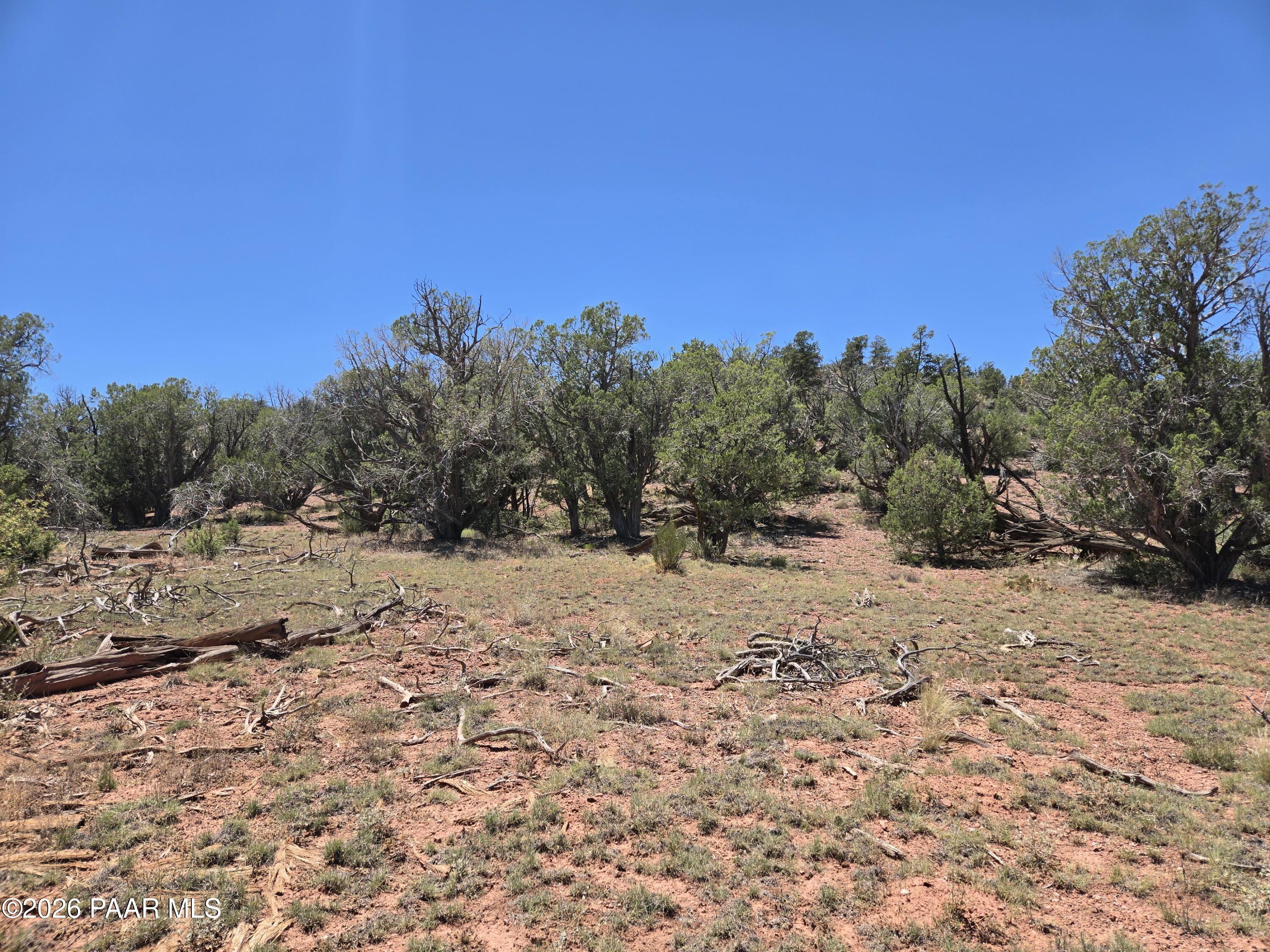236 West Kings Rnch Road Ash Fork, AZ 86320 - Photo 2 of 10 20260629_131745