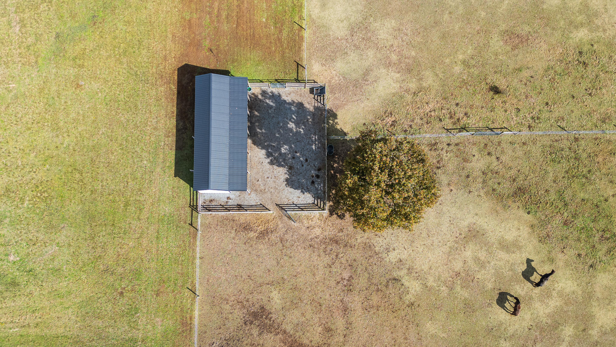 2559 West Valley Road Dunlap, TN 37327 - Photo 63 of 67 DJI_0826