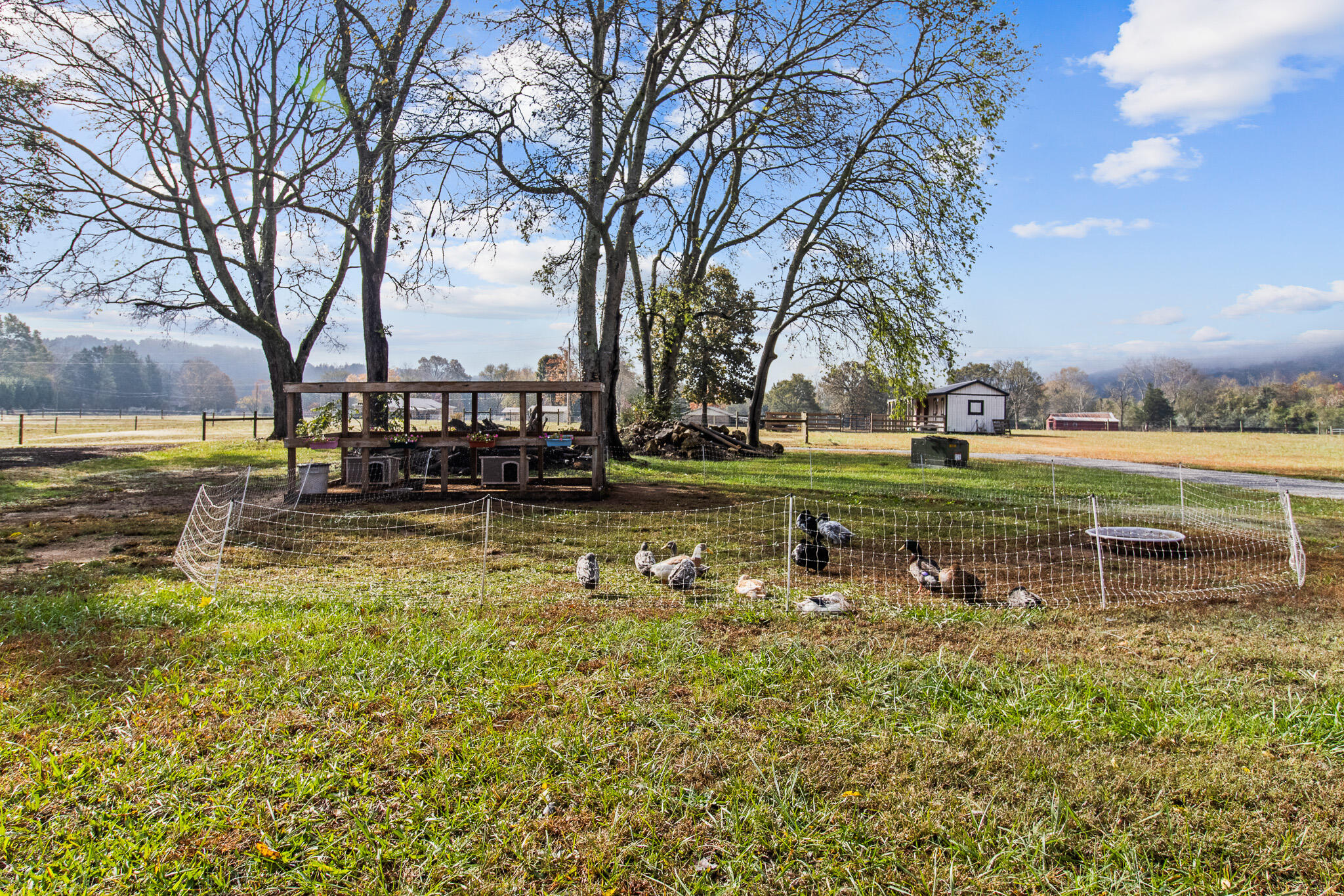 2559 West Valley Road Dunlap, TN 37327 - Photo 66 of 67 _MG_9175