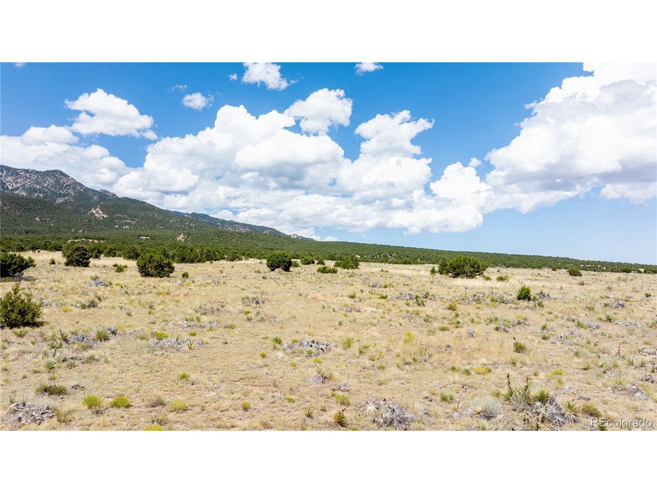 150 651st Road Rye, CO 81069 - Photo 5 of 18