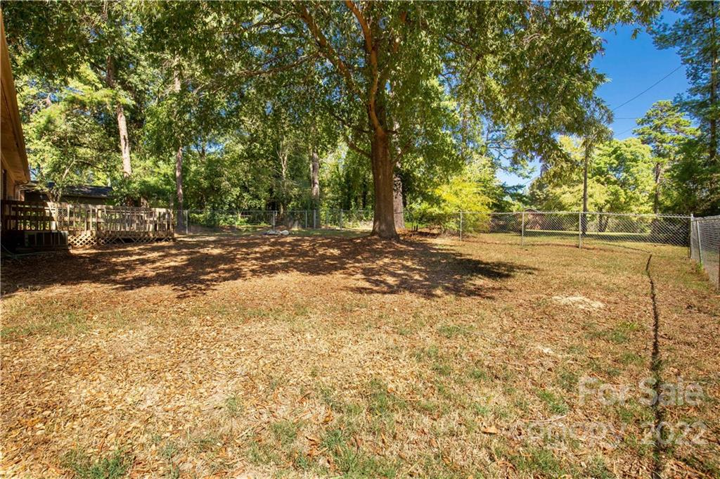 1909 John Everall Road Lancaster, SC 29720 - Photo 23 of 32 a view of a yard with a tree