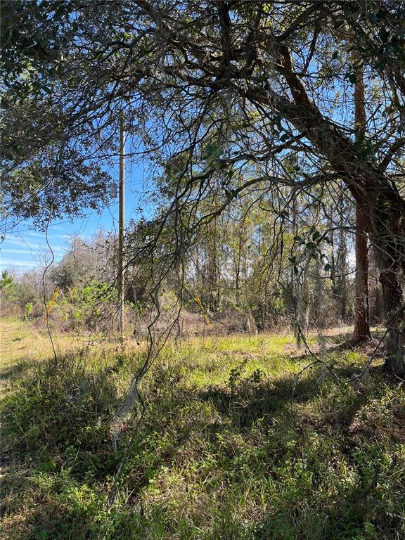 Mt Pleasant Road Groveland, FL 34736 - Photo 2 of 15