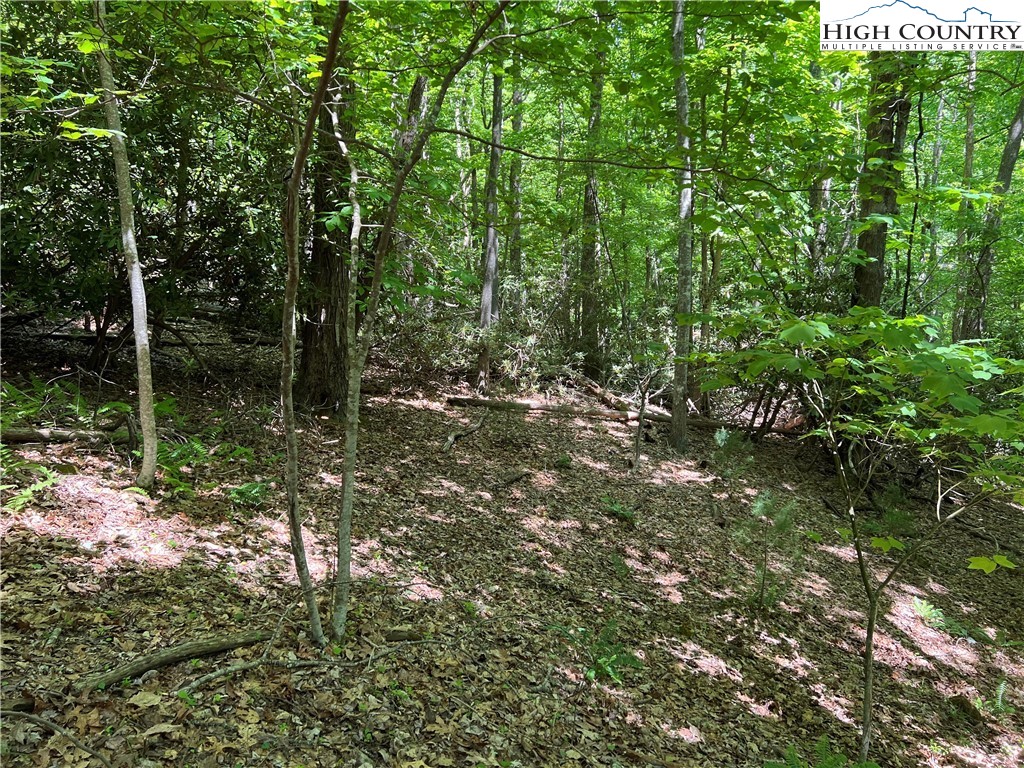 Lot 2 Little Laurel Road Boone, NC 28607 - Photo 1 of 4 Gallery Image 1