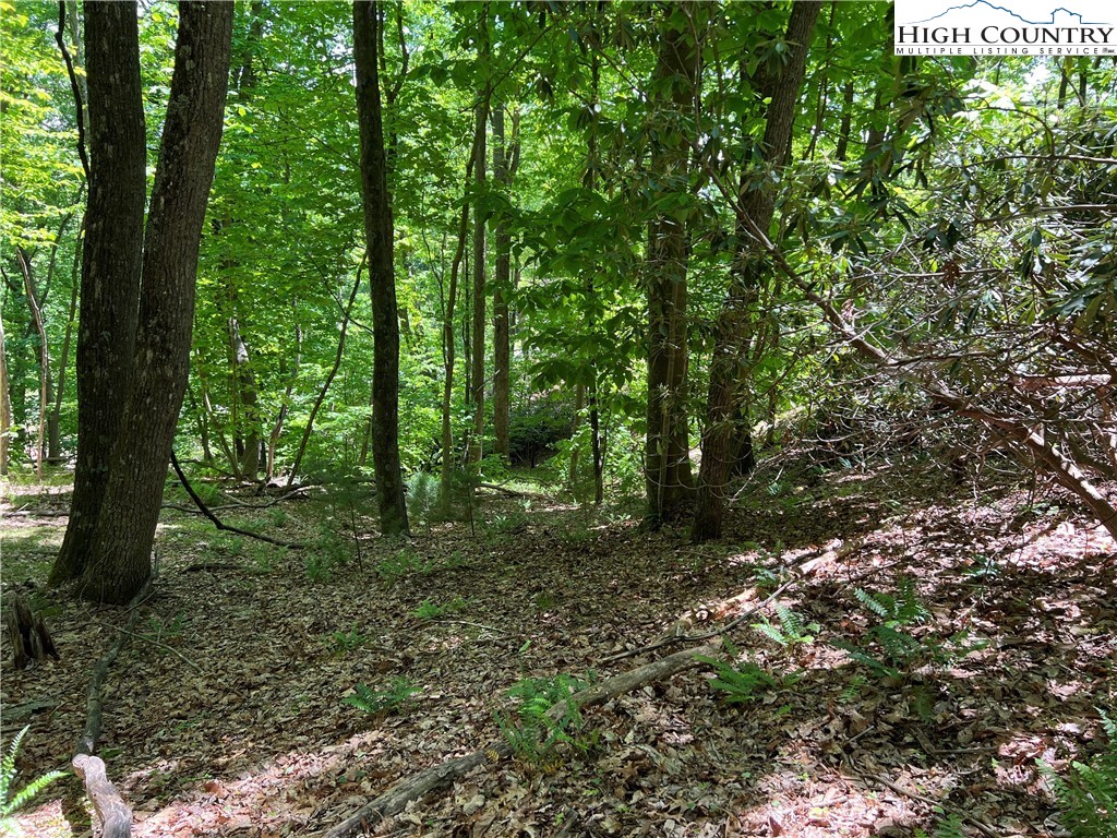 Lot 2 Little Laurel Road Boone, NC 28607 - Photo 3 of 4 Gallery Image 3