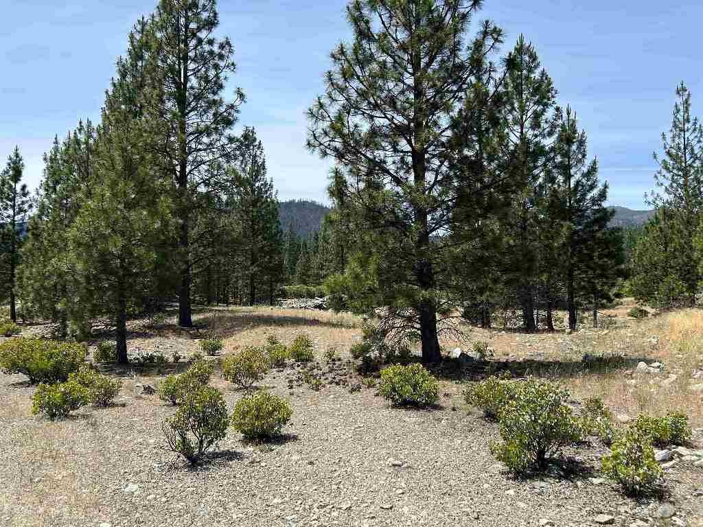 0 Patterson Creek Road Etna, CA 96027 - Photo 4 of 10 Gallery Image 4