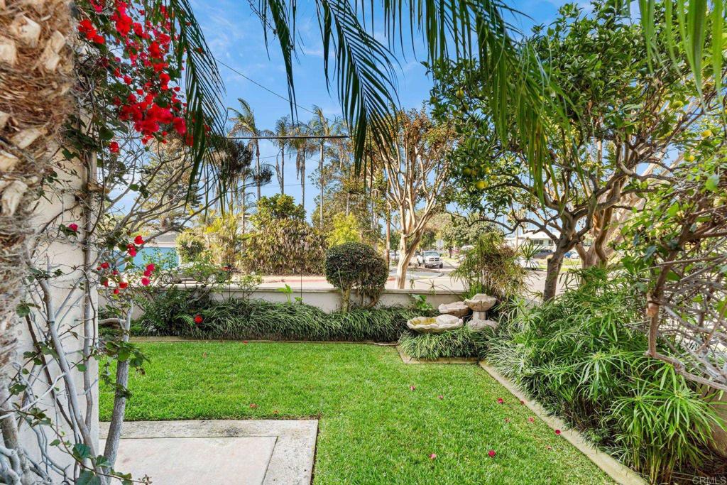 1105 Reed Avenue San Diego, CA 92109 - Photo 3 of 34 a view of yard