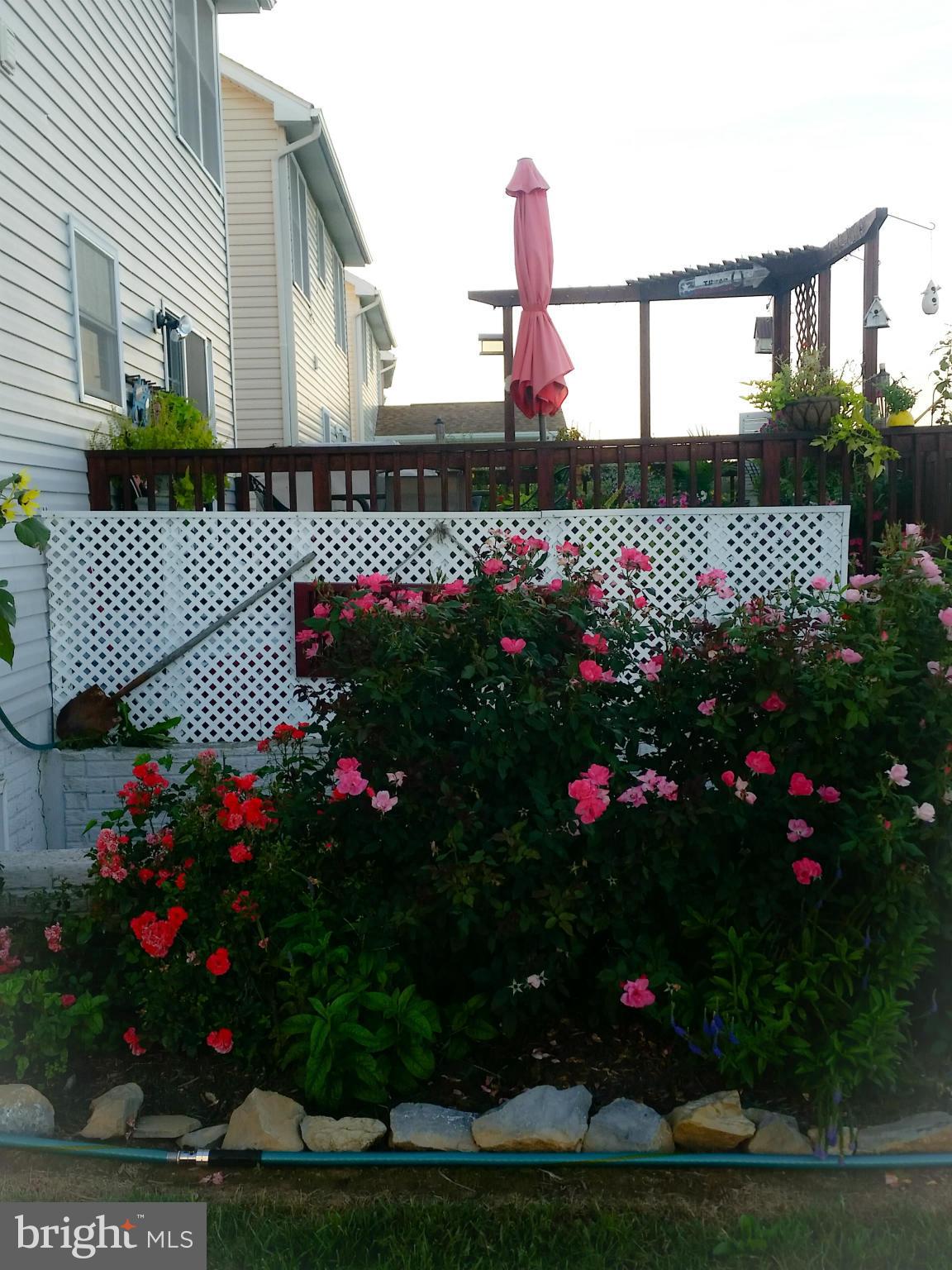 426 Thumper Drive Ranson, WV 25438 - Photo 24 of 30 a view of a flower garden
