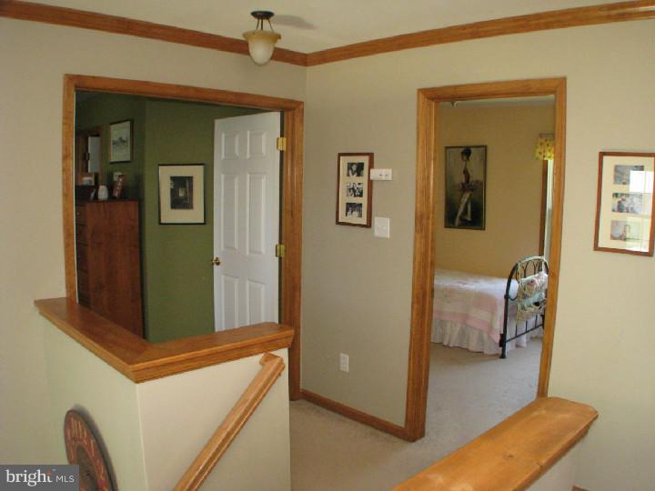 280 Chestnut Ridge Drive Magnolia, DE 19962 - Photo 18 of 25 Gallery Image 18