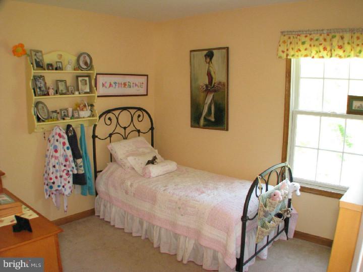 280 Chestnut Ridge Drive Magnolia, DE 19962 - Photo 21 of 25 Gallery Image 21