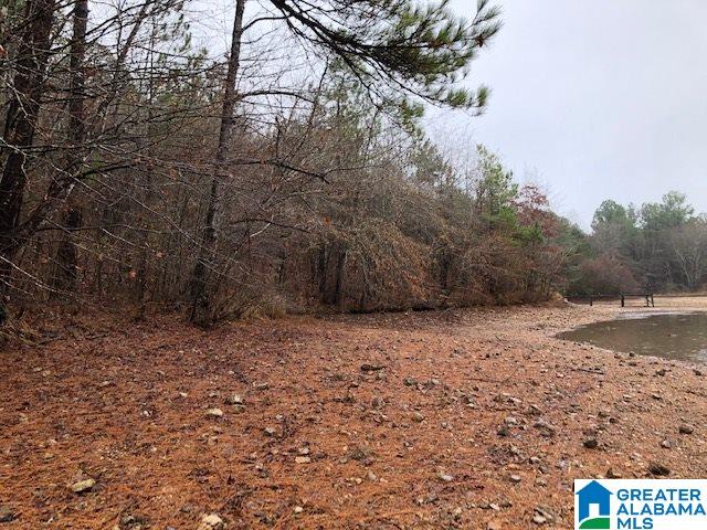 0 Lakeside Lane, Unit 31 Alpine, AL 35014 - Photo 25 of 42
