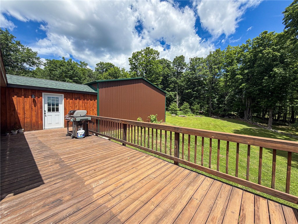 89 Zinno Road Windham, NY 12496 - Photo 33 of 50