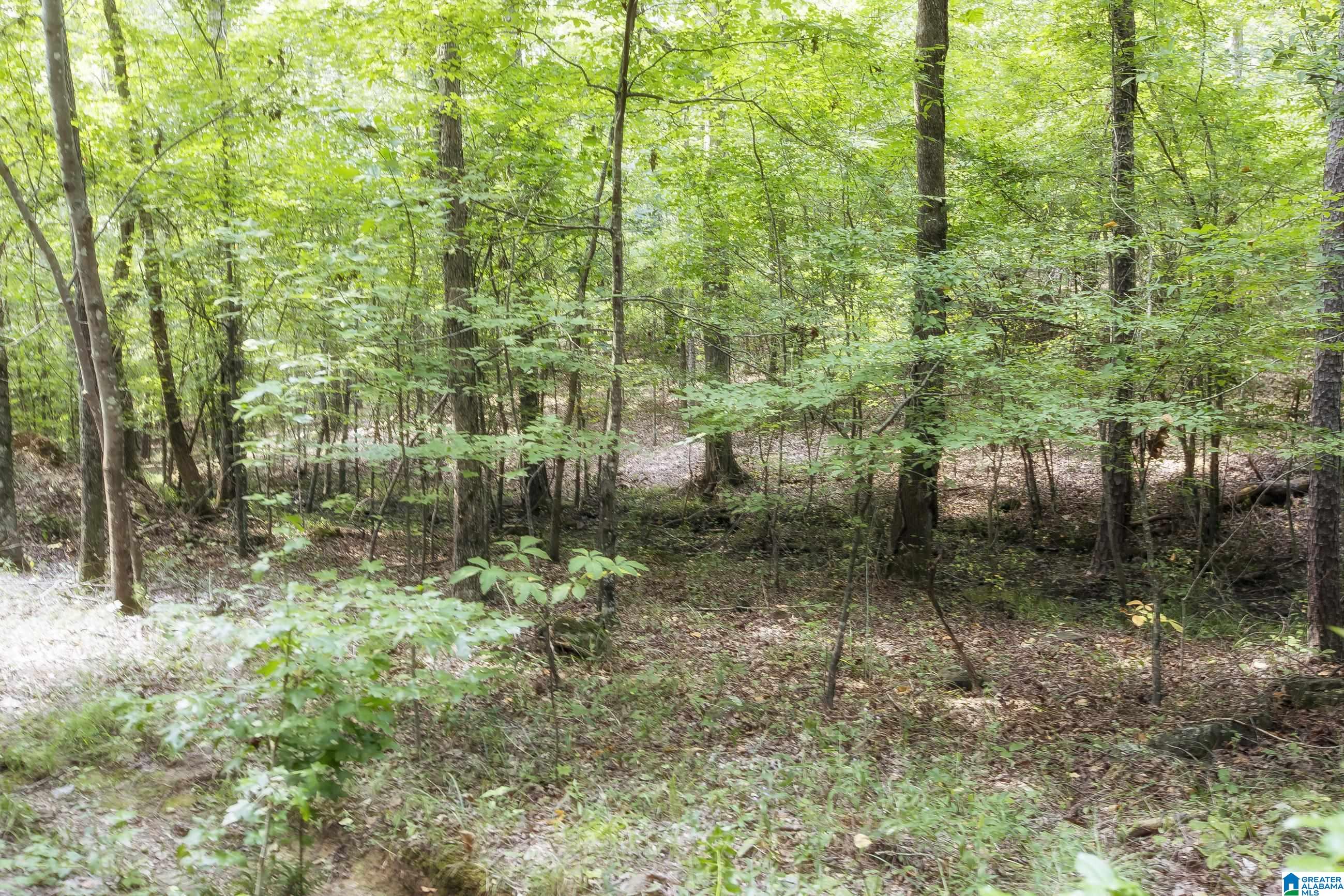 8532 Shady Trail, Unit 401 Helena, AL 35022 - Photo 6 of 25