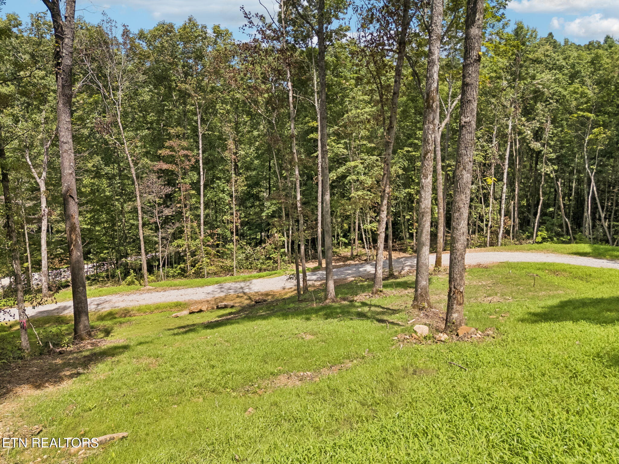 Sheep Ranch Road, Unit TRACT 7 Robbins, TN 37852 - Photo 34 of 35 41-1 Sheep Ranch Rd Lot 7 - 041