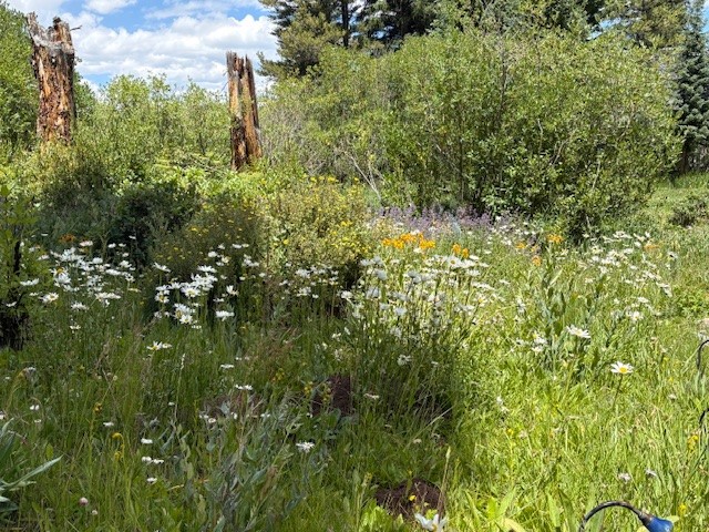 353 Blue River Road Blue River, CO 80424 - Photo 40 of 48