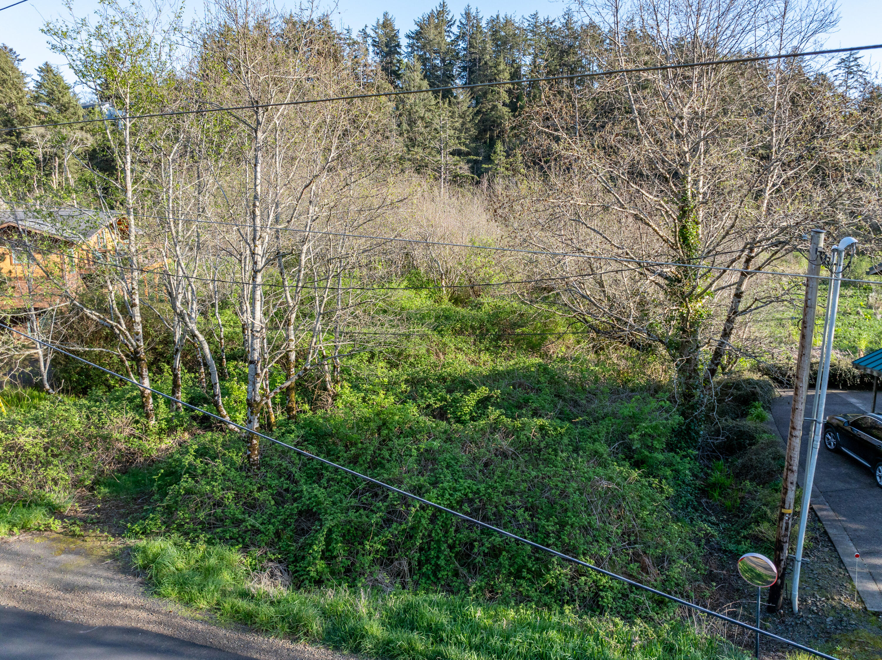 8808 Nehalem Road Nehalem, OR 97131 - Photo 4 of 16 Powell-Nehalem_Rd_Lot-004-Broken_Banjo-W