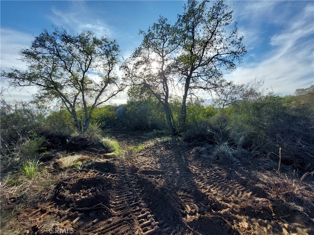 44660 Tortuga Road Temecula, CA 92590 - Photo 26 of 31 a big yard with lots of green space