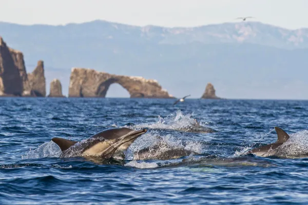 $2,678,000 | 1736 Marisol Drive, Ventura, CA 93001