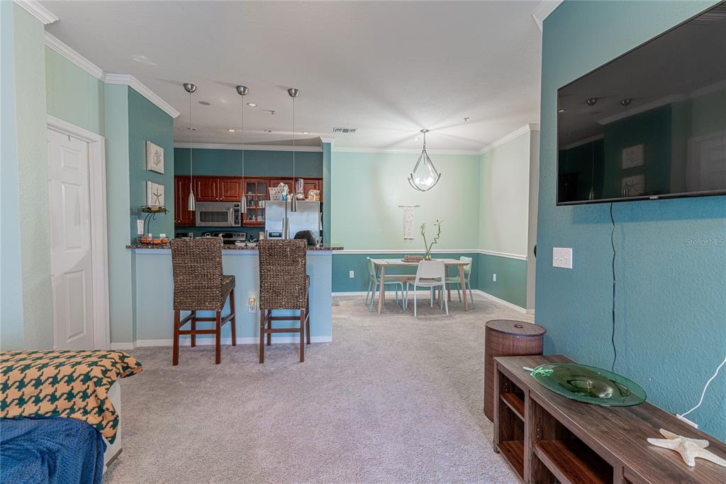 3583 Conroy Road, Unit 1135 Orlando, FL 32839 - Photo 7 of 34