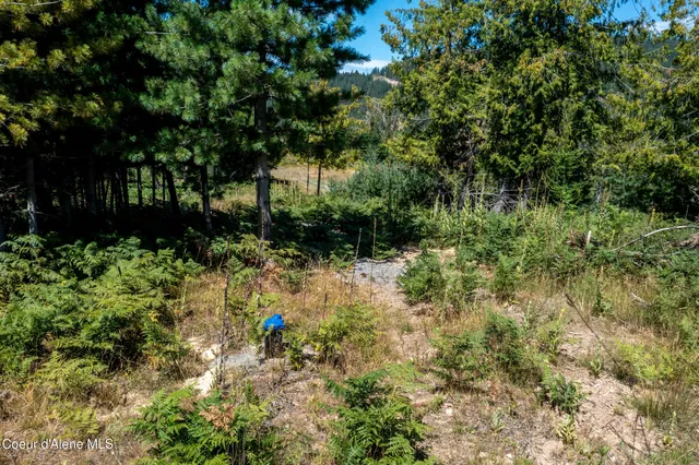 $269,000 | Nna Nna Frosty Lane, Pinehurst, ID 83850