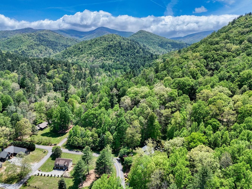2062 High River Road West Hiawassee, GA 30546 - Photo 41 of 44 Gallery Image 41