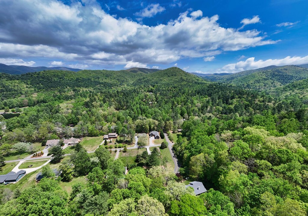 2062 High River Road West Hiawassee, GA 30546 - Photo 42 of 44 Gallery Image 42