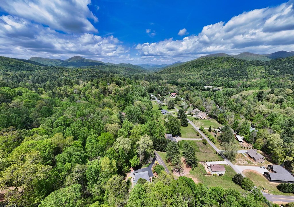 2062 High River Road West Hiawassee, GA 30546 - Photo 43 of 44 Gallery Image 43