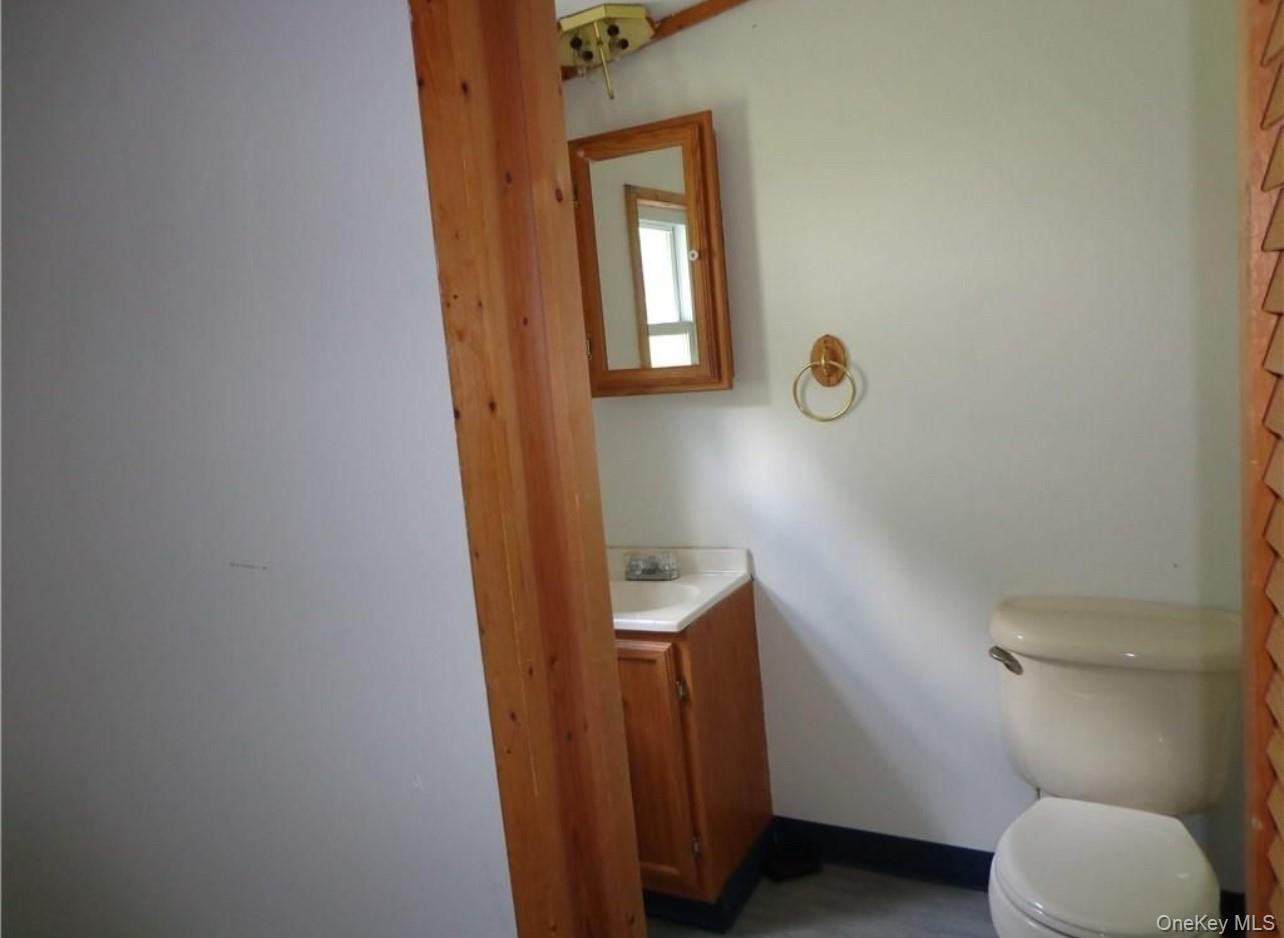182-184 Mutton Hill Road Neversink, NY 12765 - Photo 7 of 34 a bathroom with a toilet and a mirror