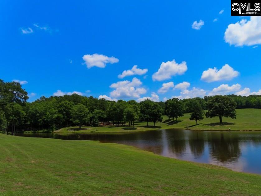 3296 Flat Rock Road Kershaw, SC 29067 - Photo 38 of 94