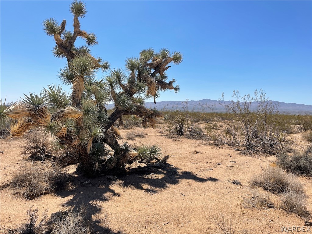 17981 South Gene Autry Road Yucca, AZ 86438 - Photo 45 of 50 Gallery Image 45