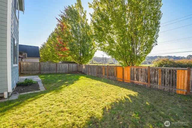 a view of a backyard with a large tree and wooden fence
