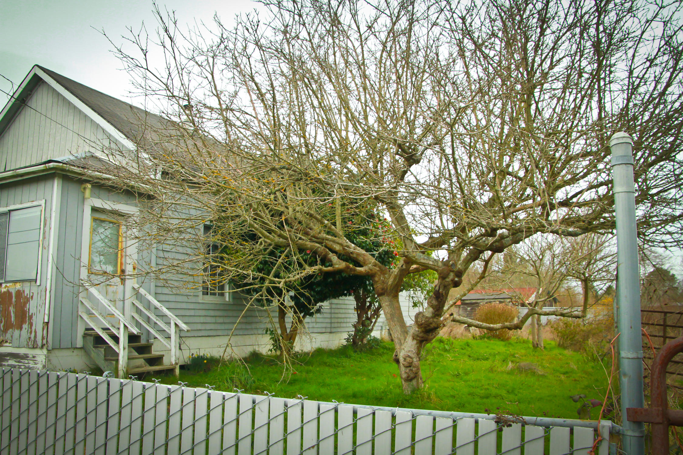 1696 17th Street Arcata, CA 95521 - Photo 1 of 28