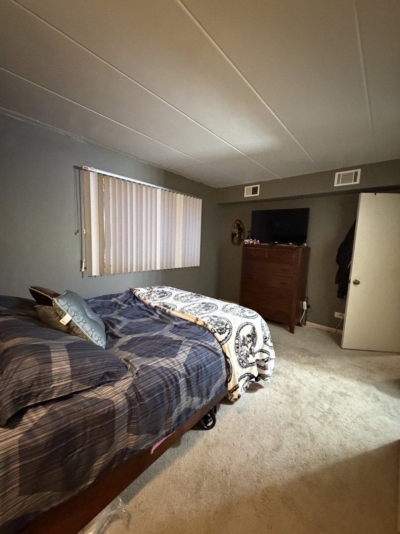 10002 South Pulaski Road, Unit 207 Oak Lawn, IL 60453 - Photo 19 of 33