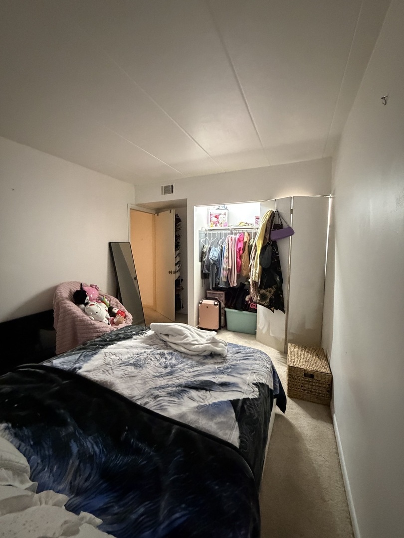 10002 South Pulaski Road, Unit 207 Oak Lawn, IL 60453 - Photo 26 of 33