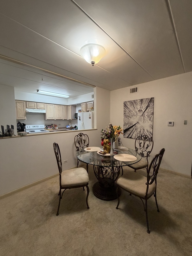 10002 South Pulaski Road, Unit 207 Oak Lawn, IL 60453 - Photo 7 of 33