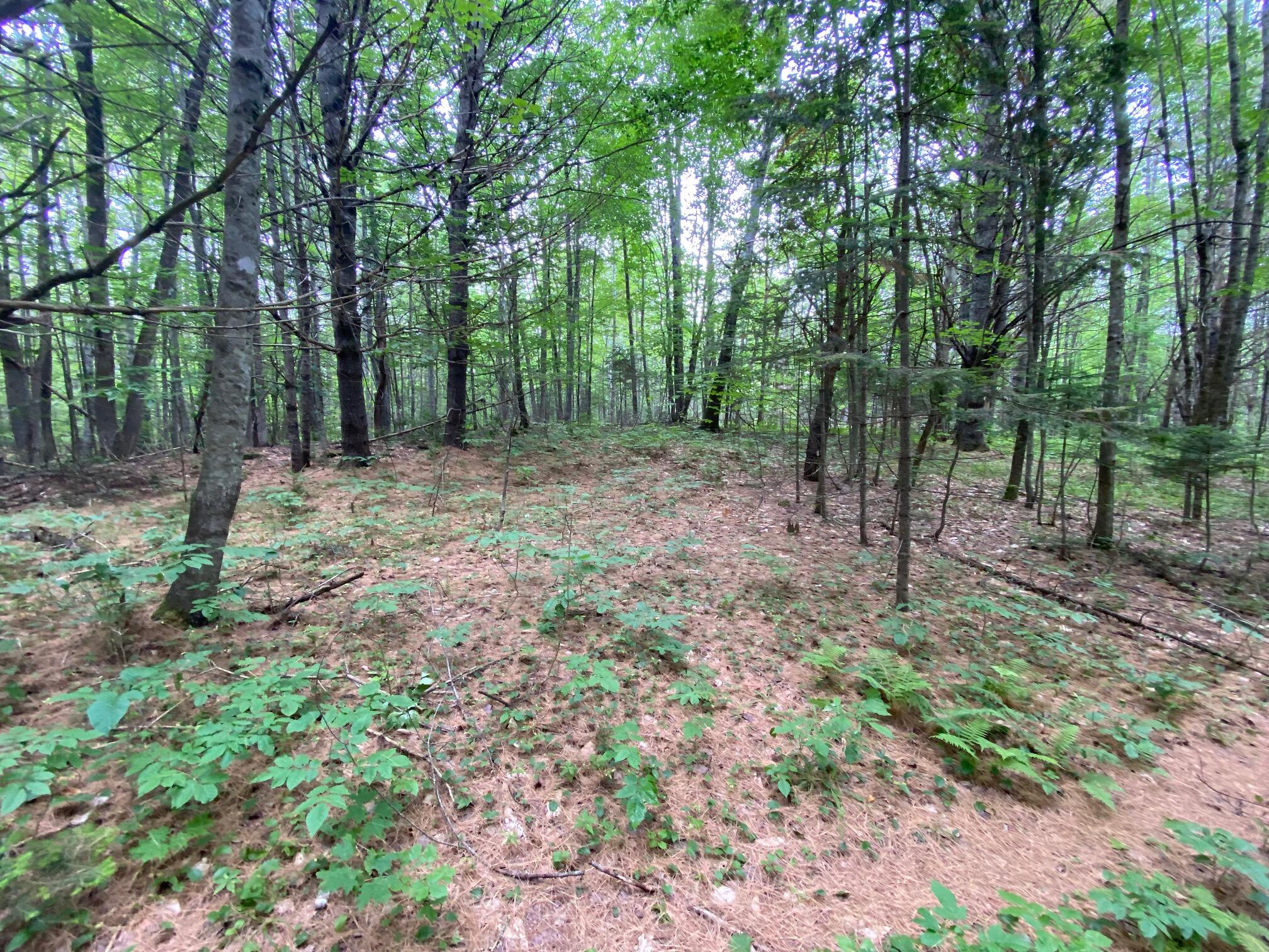 Lot#17 Guilford Center Road Guilford, ME 04443 - Photo 14 of 20