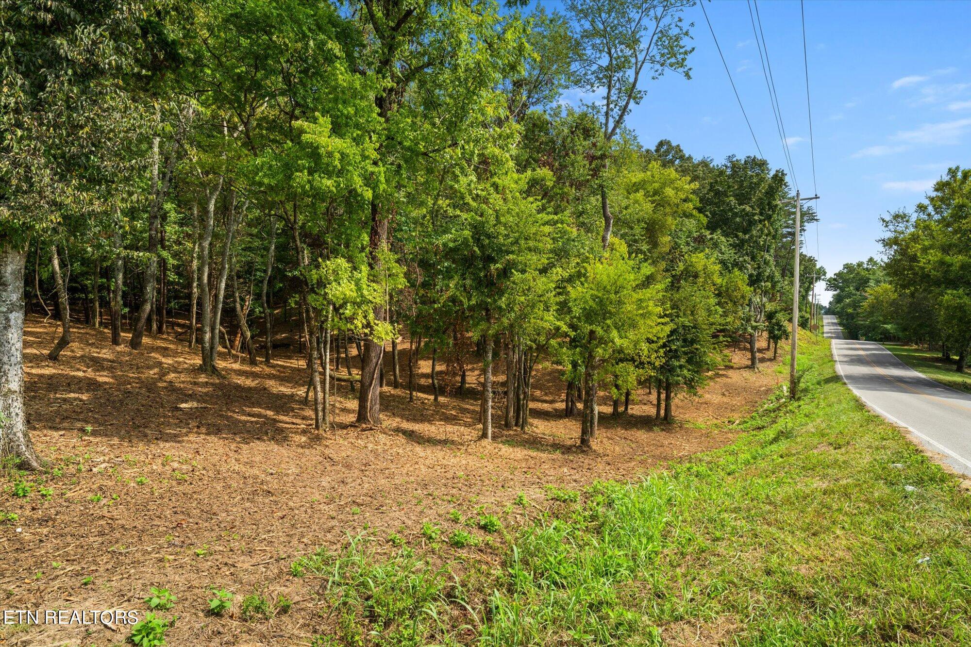 Lot#1 Beals Chapel Road Lenoir City, TN 37772 - Photo 12 of 22 08-Beals-Chapel-Rd-Tennessee-21