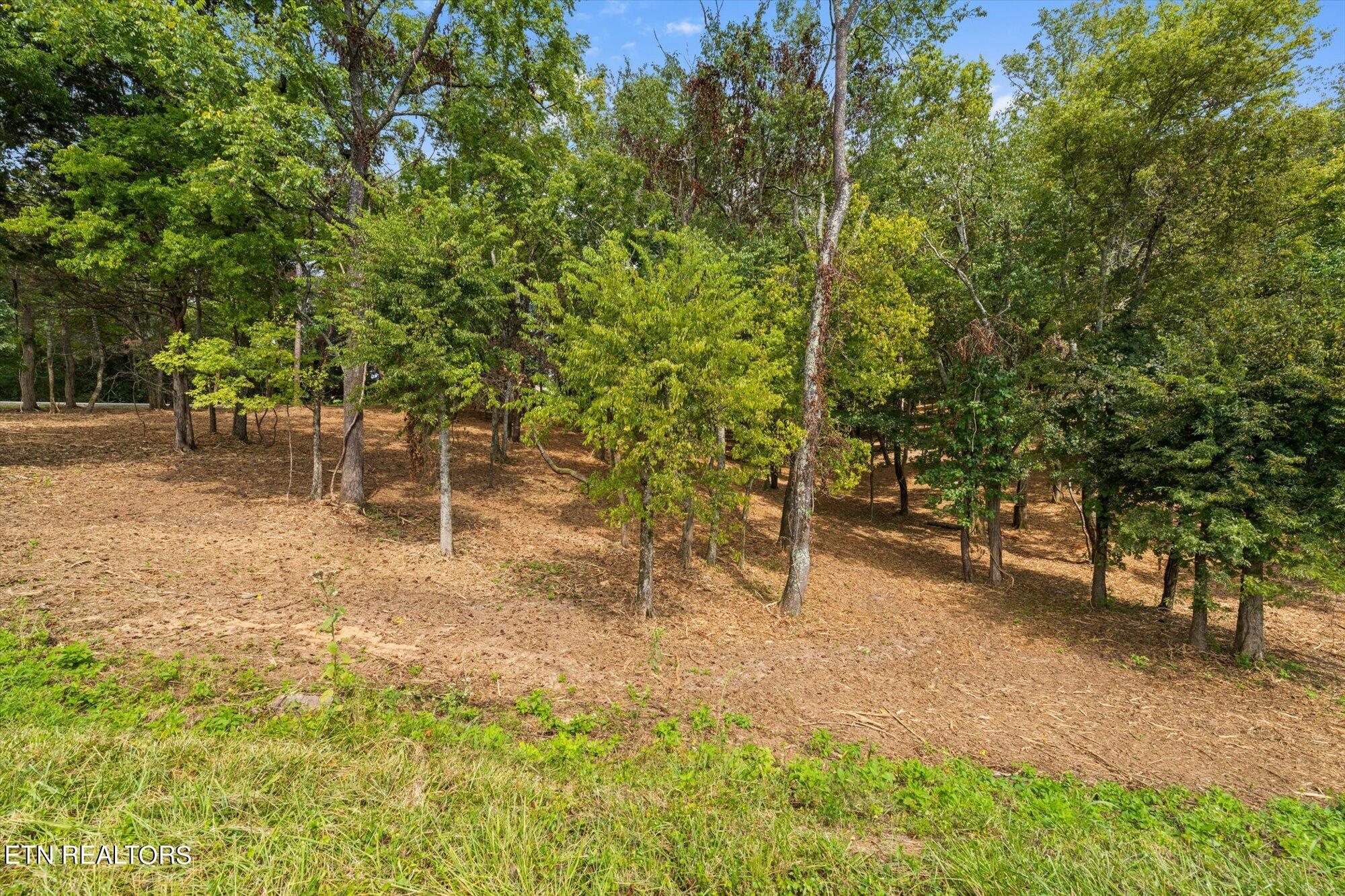 Lot#1 Beals Chapel Road Lenoir City, TN 37772 - Photo 14 of 22 Lot-1-5