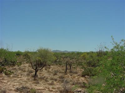 12855 Rustler Road Tucson, AZ 85736 - Photo 2 of 5 Gallery Image 2