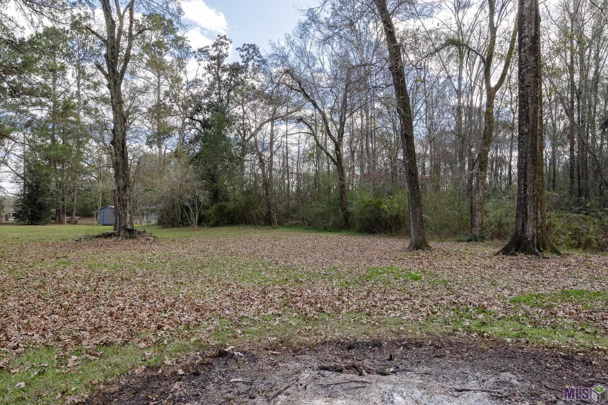 11395 Granberry Street Baton Rouge, LA 70811 - Photo 12 of 17