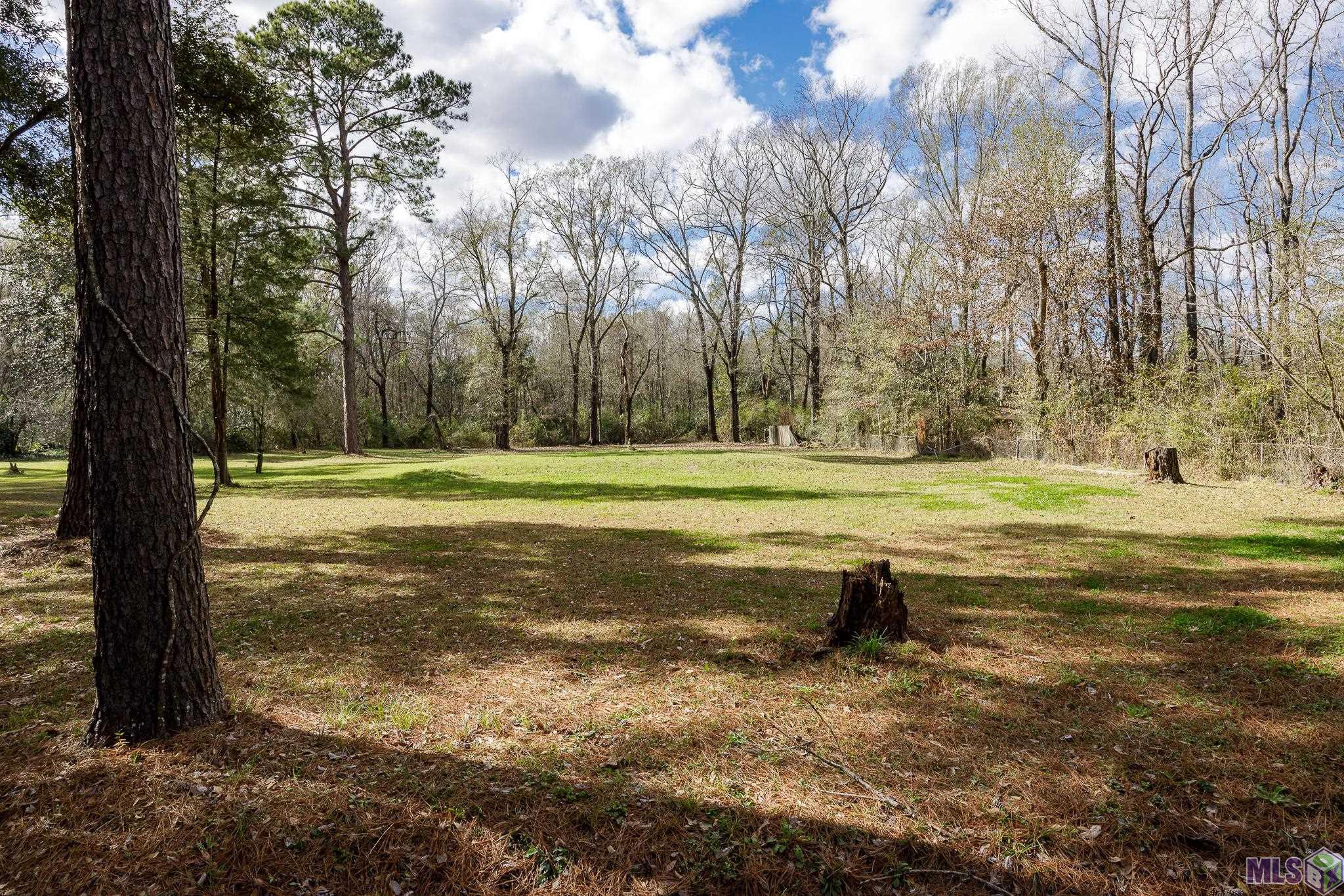 11395 Granberry Street Baton Rouge, LA 70811 - Photo 2 of 17