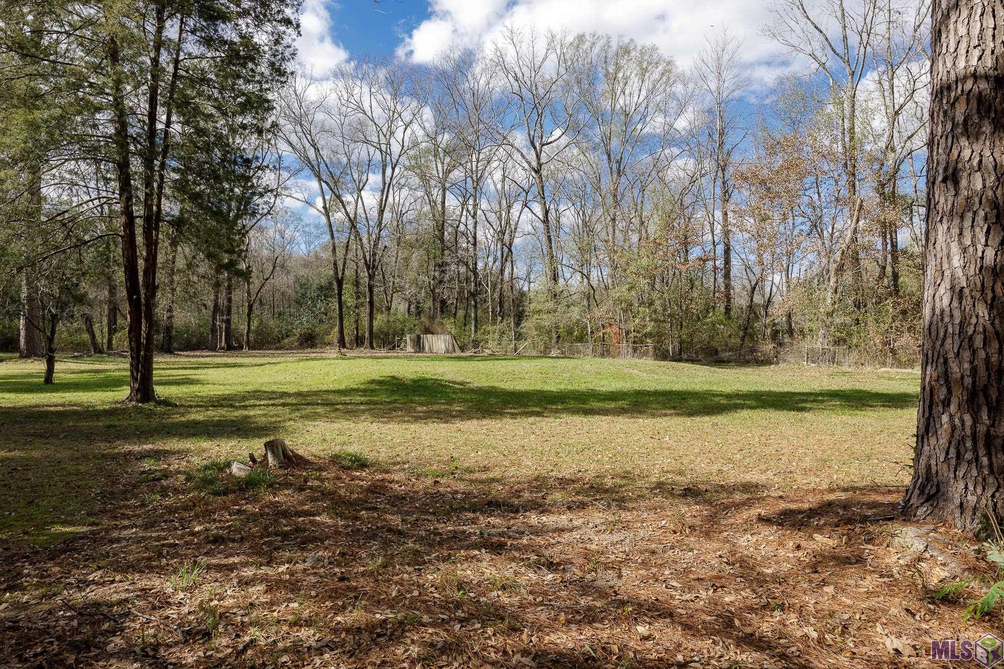 11395 Granberry Street Baton Rouge, LA 70811 - Photo 4 of 17