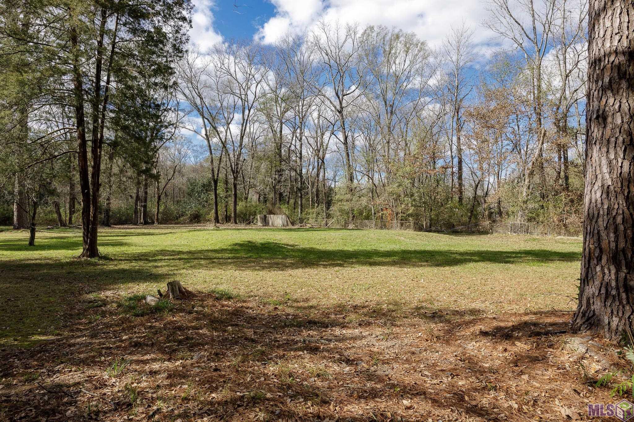 11395 Granberry Street Baton Rouge, LA 70811 - Photo 5 of 17