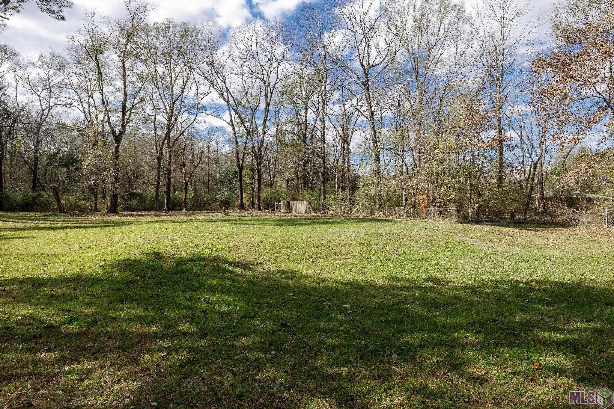 11395 Granberry Street Baton Rouge, LA 70811 - Photo 6 of 17