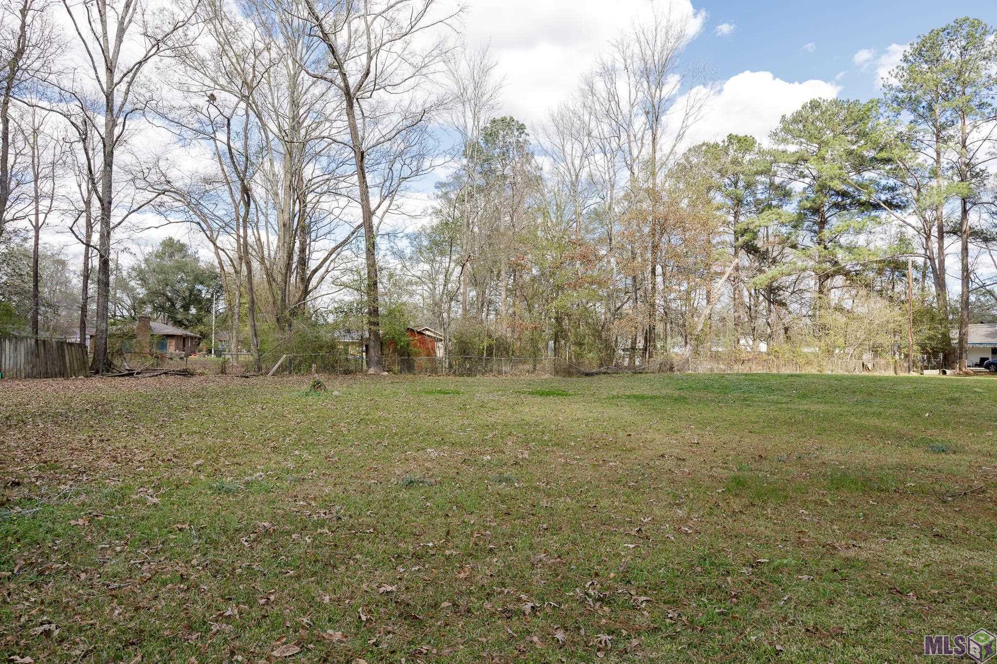 11395 Granberry Street Baton Rouge, LA 70811 - Photo 10 of 17